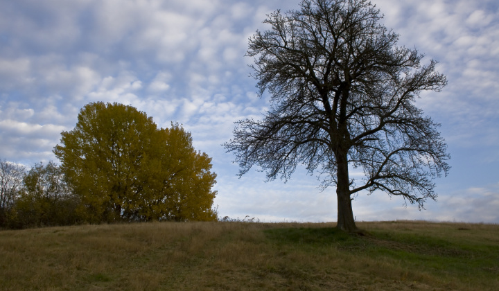 10. fotografia fotogalérie Jeseň