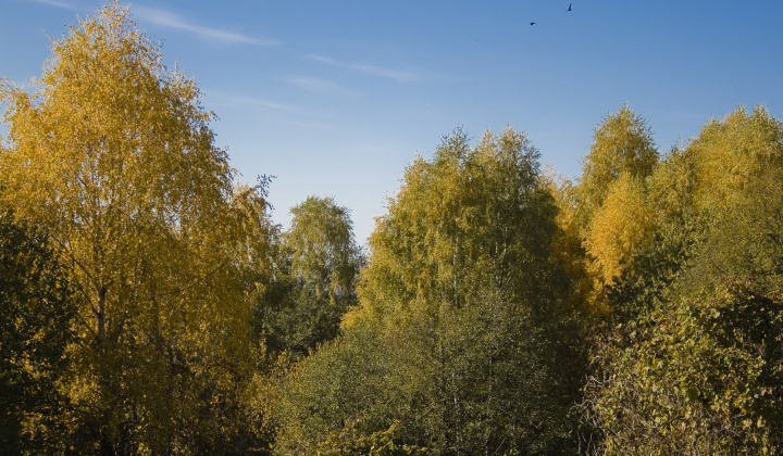 11. fotografia fotogalérie Jeseň