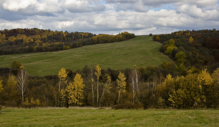 12. fotografia fotogalérie Jeseň