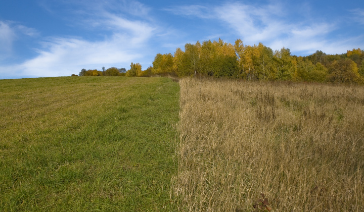 13. fotografia fotogalérie Jeseň