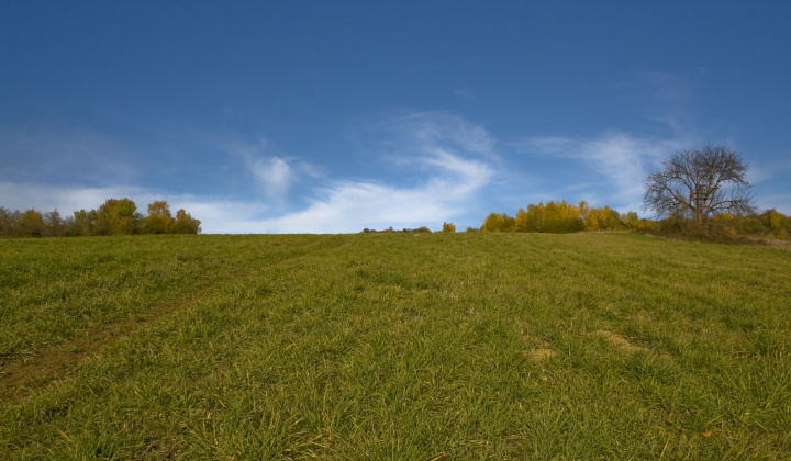 14. fotografia fotogalérie Jeseň