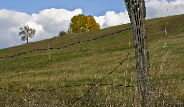 15. fotografia fotogalérie Jeseň