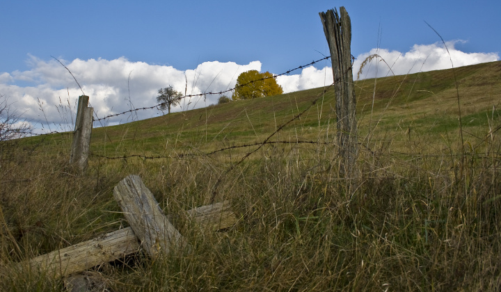 16. fotografia fotogalérie Jeseň