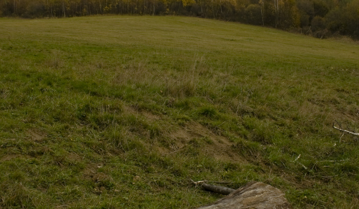 17. fotografia fotogalérie Jeseň