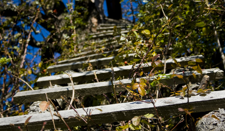 18. fotografia fotogalérie Jeseň