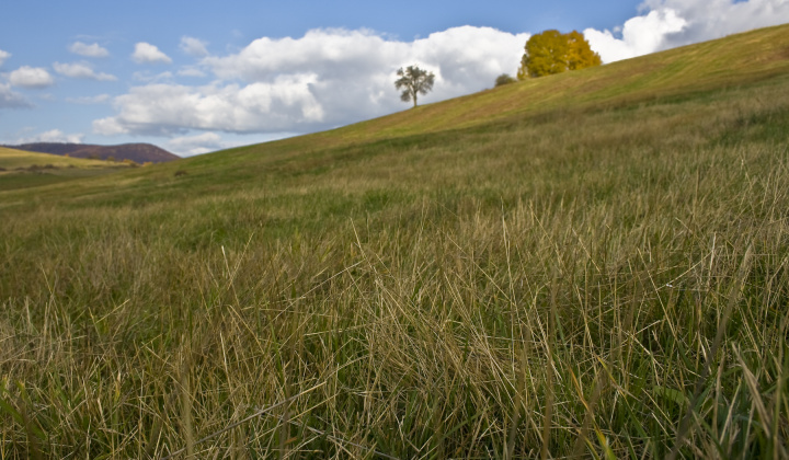 19. fotografia fotogalérie Jeseň