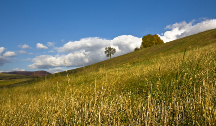 20. fotografia fotogalérie Jeseň