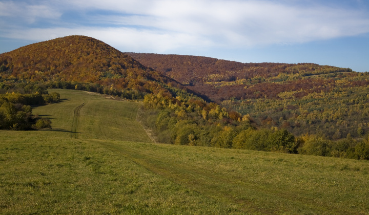 23. fotografia fotogalérie Jeseň