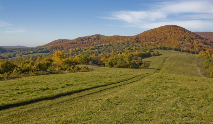 24. fotografia fotogalérie Jeseň