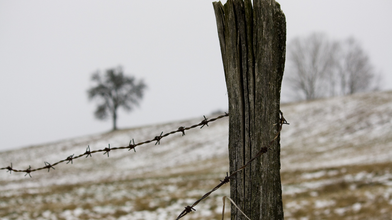 Fotografia fotogalérie Zima