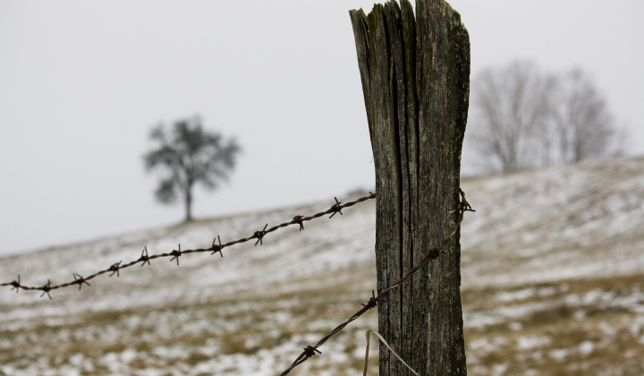 1. fotografia fotogalérie Zima