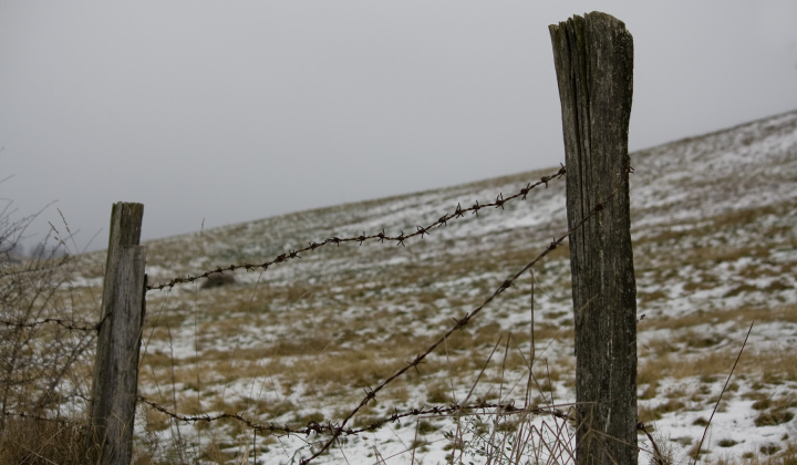 2. fotografia fotogalérie Zima