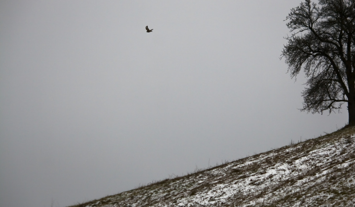 4. fotografia fotogalérie Zima