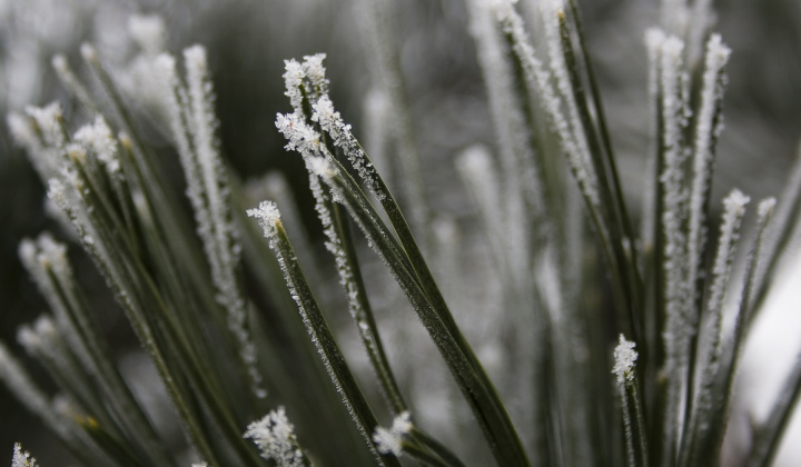 5. fotografia fotogalérie Zima