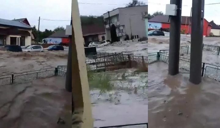 Fotka - Pichne vola o pomoc